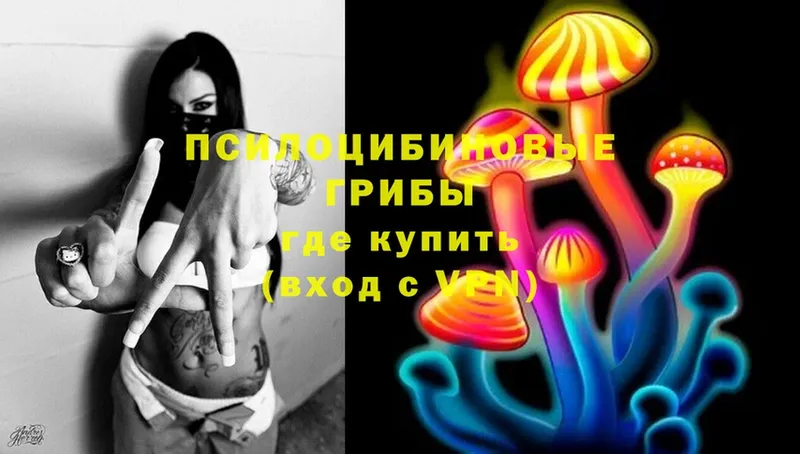 Галлюциногенные грибы MAGIC MUSHROOMS Красавино